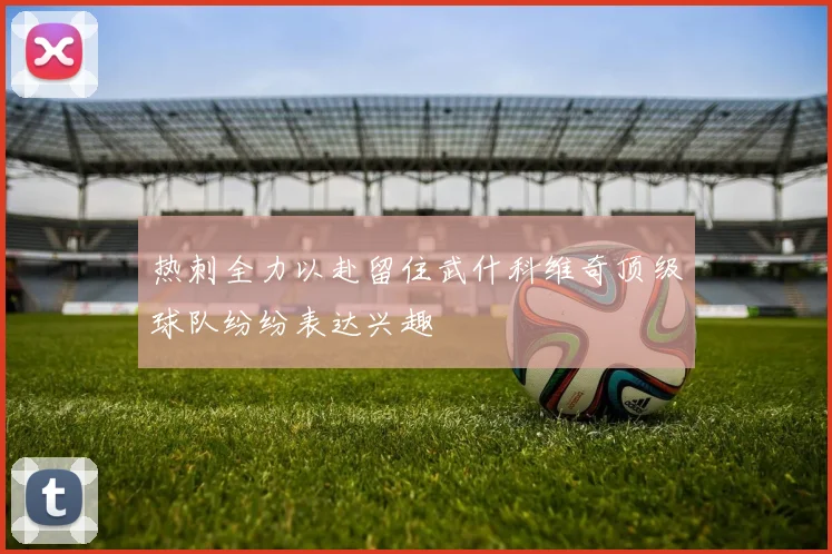 热刺全力以赴留住武什科维奇顶级球队纷纷表达兴趣
